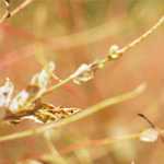 Fünf Fragen am Fünften im Januar
